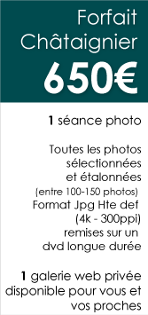 Forfait-Chataignier-Photographie-enfants-Chambery Forfait-Chataignier-Photographie-enfants-Chambery