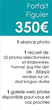 Forfait-Figuier-Photographie-enfants-Chambery