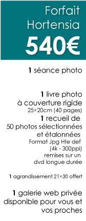 Forfait-Hortensia-Photographie-Bapteme-Chambery Forfait-Hortensia-Photographie-Bapteme-Chambery