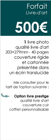 Forfait-Photo-Mariage-Chambery-DVD-livre-photo-03 Forfait-Photo-Mariage-Chambery-DVD-livre-photo-03