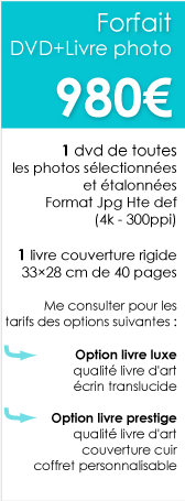 Forfait-Photo-Mariage-Chambery-DVD-livre-photo
