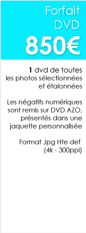 Forfait-Photo-Mariage-Chambery-DVD