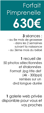 Forfait-Pimprenelle-Photographie-Future-Maman-Chambery