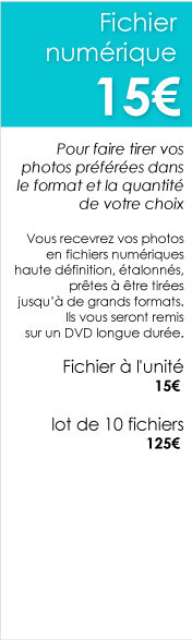 Tarifs-fichiers-numeriques-haute-definition