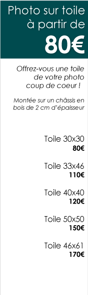 Tarifs-photos-sur-toile Tarifs-photos-sur-toile