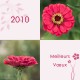 4 nouvelles cartes de voeux 2010