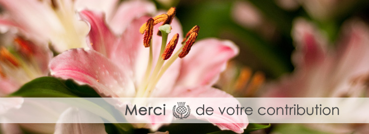 Remerciement-contribution Remerciement-contribution