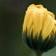 Vente de tirages photos