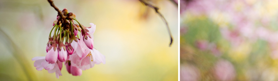 Printemps