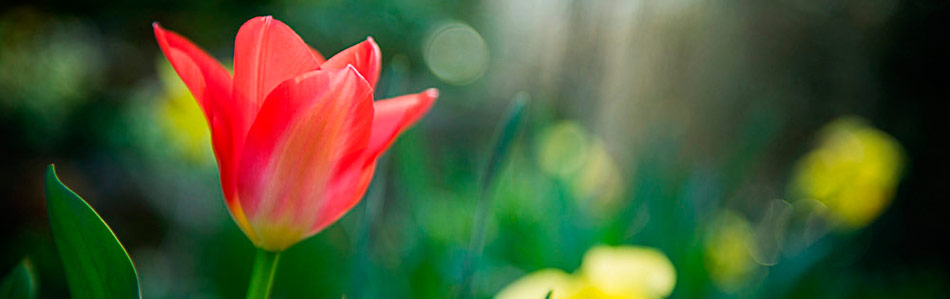 Les photos du mercredi : un après-midi au jardin avec les enfants