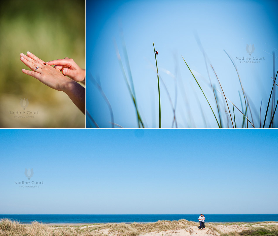 Coccinelle des dunes et vue panoramique d'un couple à la mer