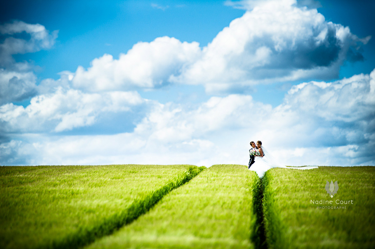 Photos de couple : Charlotte & Nicolas dans un champs