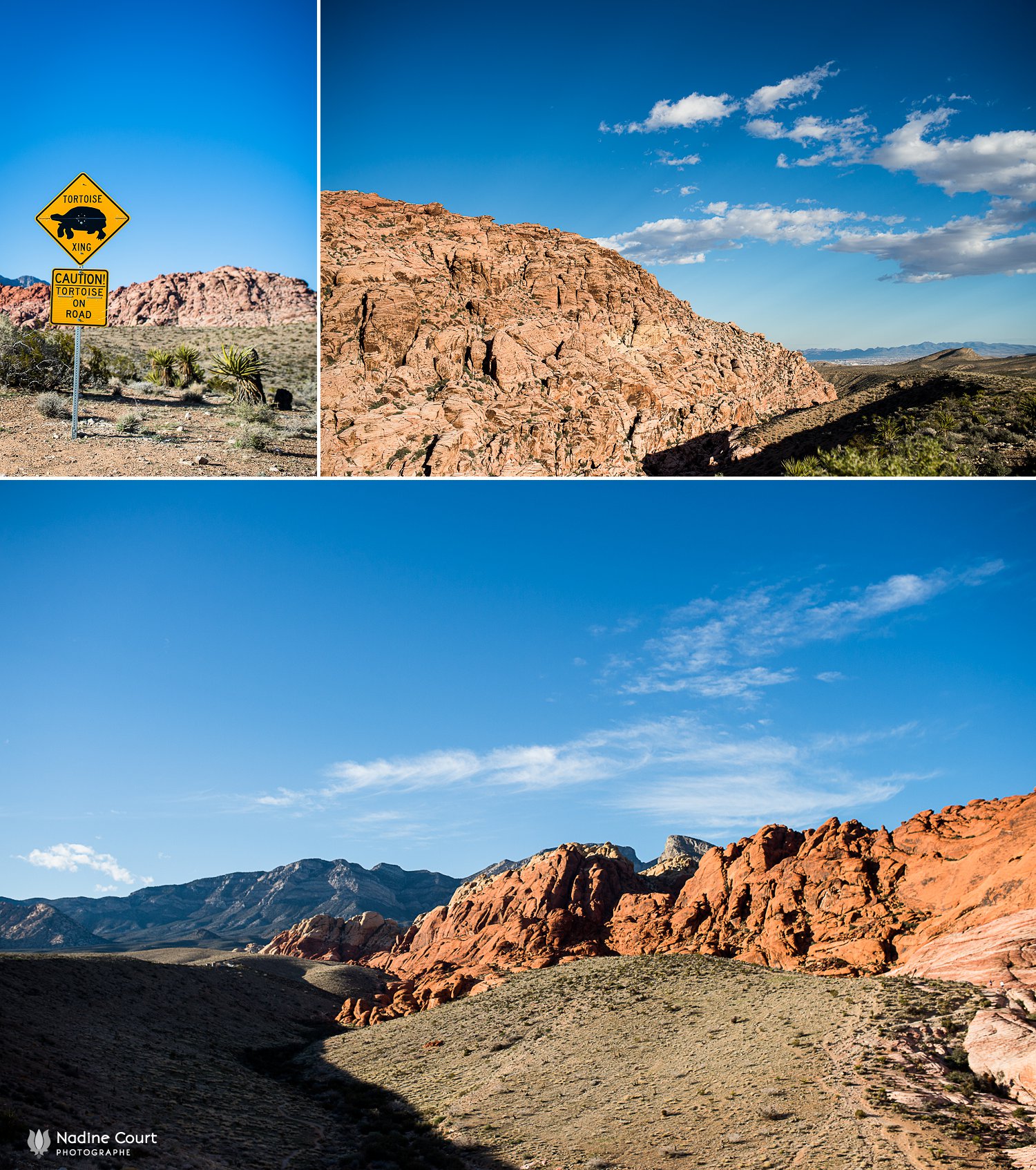 WPPI-2015-conferences-internationales-photographie-Las-Vegas_0002