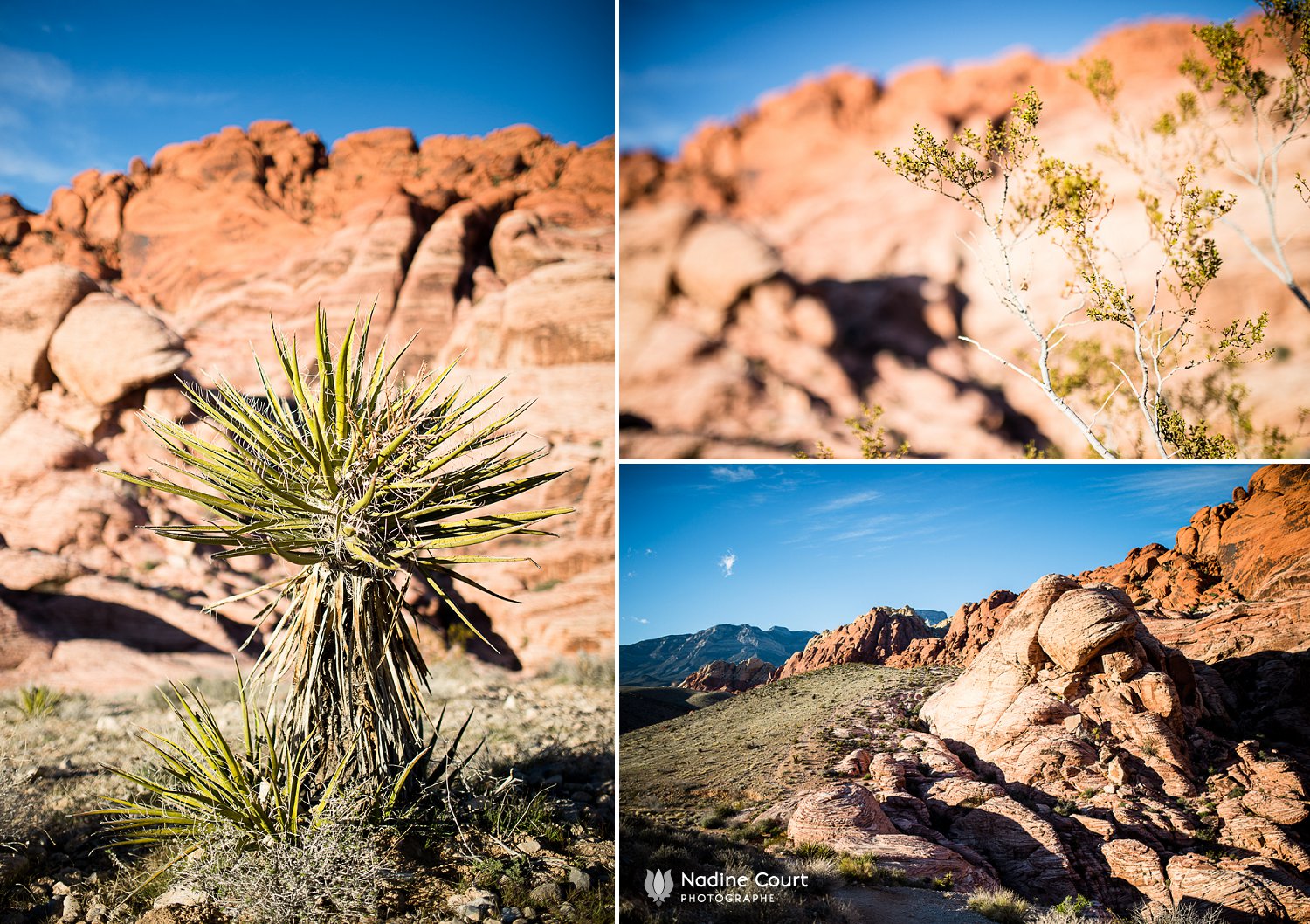 WPPI-2015-conferences-internationales-photographie-Las-Vegas_0003
