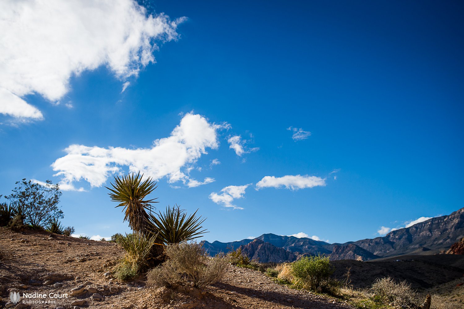 WPPI-2015-conferences-internationales-photographie-Las-Vegas_0007