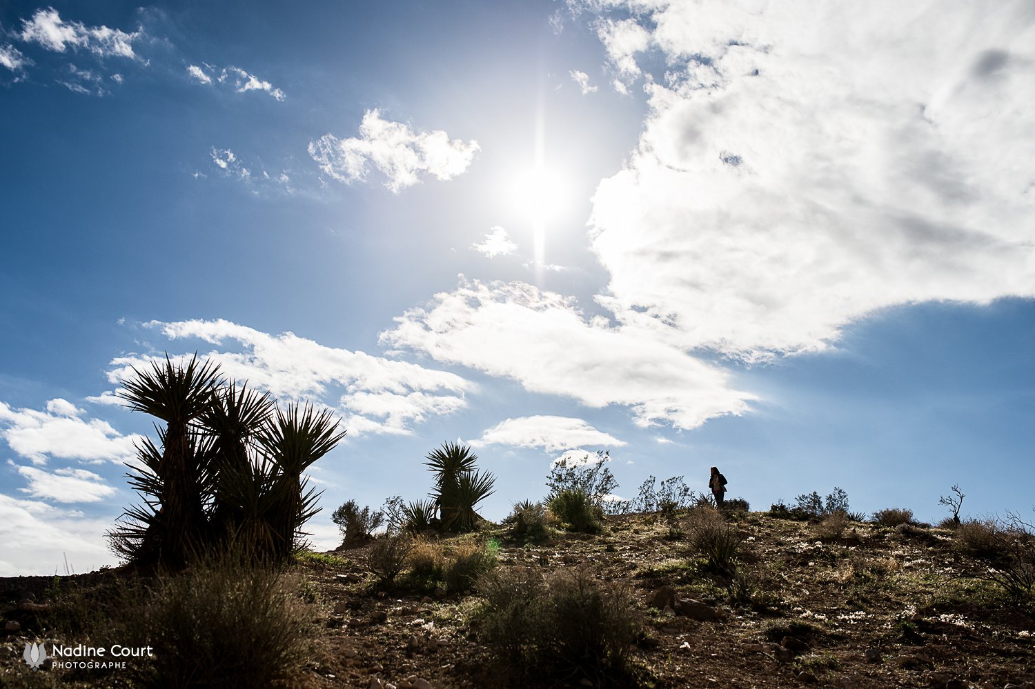 WPPI-2015-conferences-internationales-photographie-Las-Vegas_0009