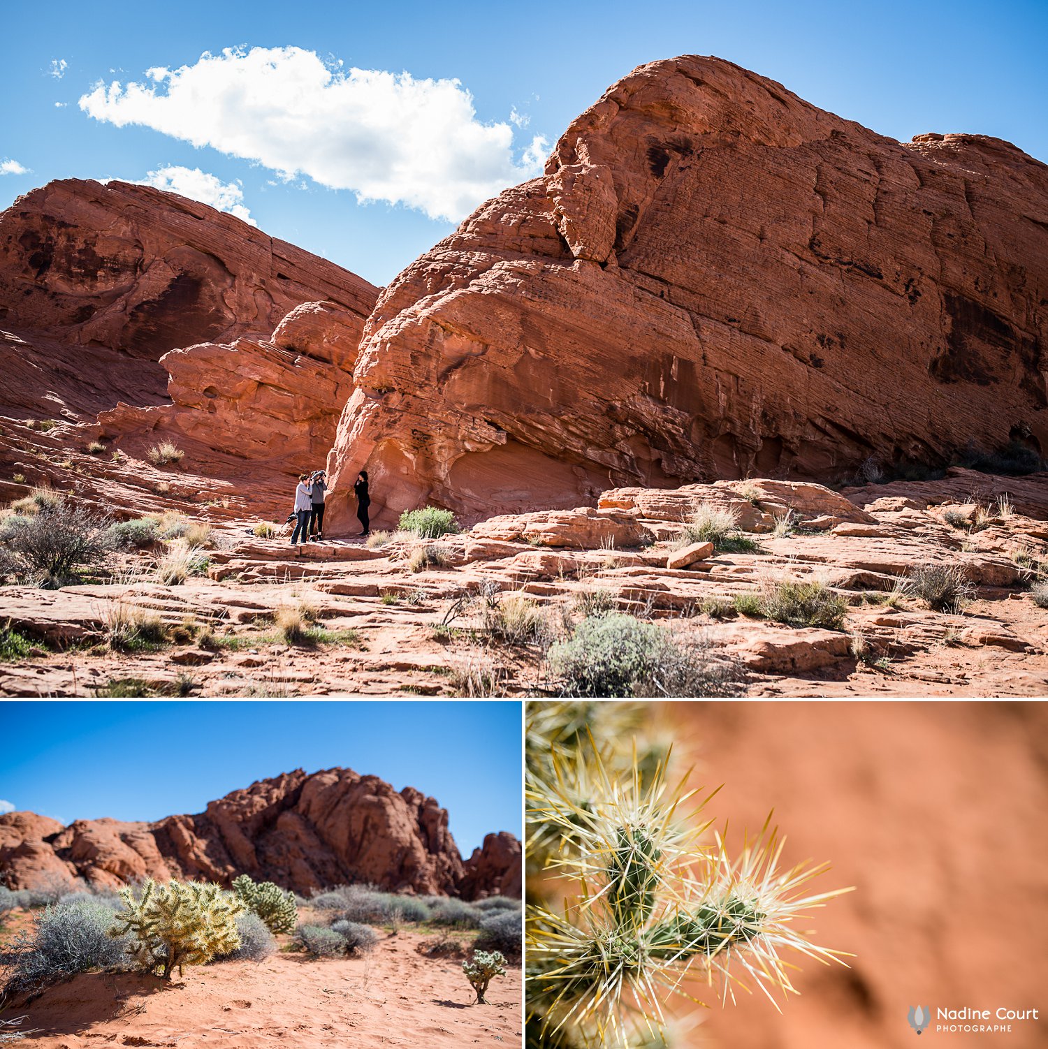 WPPI-2015-conferences-internationales-photographie-Las-Vegas_0011